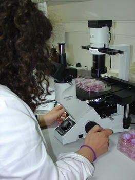 Una investigadora observando una línea celular con microscopio