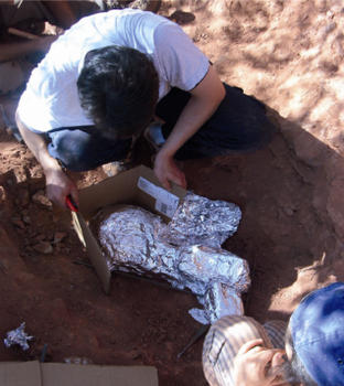 Un investigador envuelve los fósiles con unas carcasas que se denominan ‘momias’ para protegerlos. Foto: Fidel Torcida.