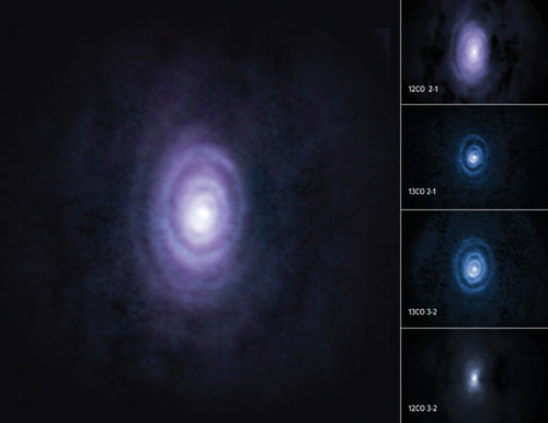 Mientras estudiaba V Hya, una estrella de carbono moribunda, un equipo de científicos descubrió seis anillos que se expanden lentamente a medida que la estrella se despoja de su materia./ALMA (ESO/NAOJ/NRAO)/S. Dagnello (NRAO/AUI/NSF)