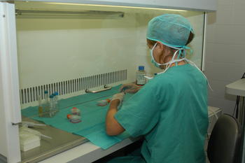 El Banco de Tejidos realiza cultivos de piel en sus laboratorios