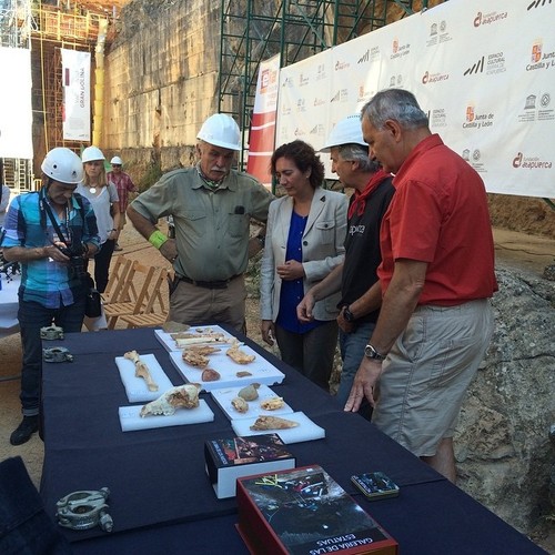Presentación de los principales fósiles hallados esta campaña en la rueda de prensa celebrada en los yacimientos este miércoles 22 de julio - Fundación Atapuerca