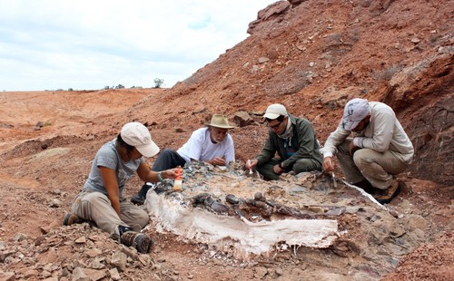 Investigadores trabajando en el yacimiento. Foto: Agencia CTyS-UNLaM.