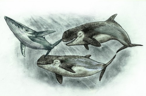 Ilustración de la bestía marina de Río Negro/Sebastián Rozadilla.