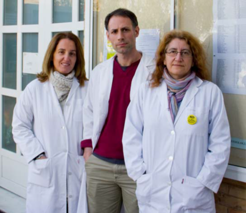 Los investigadores Benito, Casañas y Montesinos, de la Universidad de Sevilla. Foto: UPO.