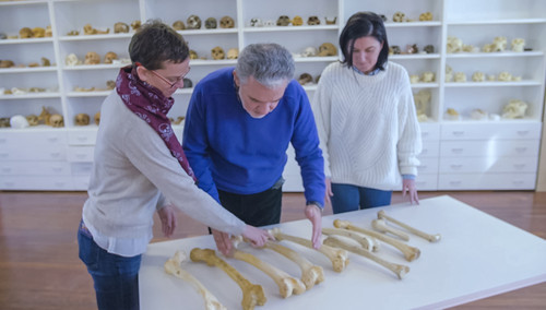 Los tres investigadores de la UBU observan la colección de huesos/UBU