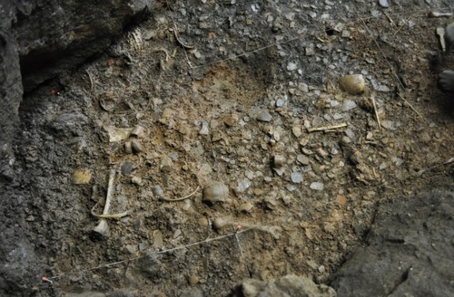 Restos humanos entre el pavimento de cerámicas de la primera ocupación de la cueva.