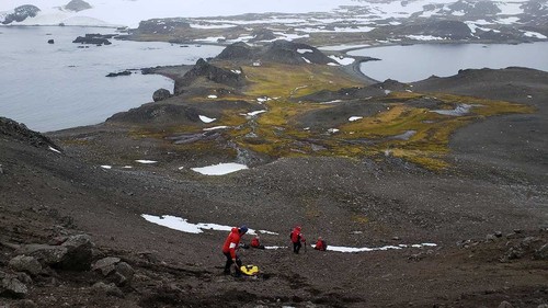 La investigación analizó muestras de suelo de distintos puntos de la Península Antártica.