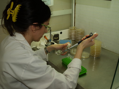 Una investigadora del grupo de investigación de Ingeniería Metabólica de la Universidad de Salamanca, en el laboratorio.