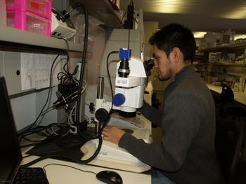 Roger López, en el laboratorio del Incyl.
