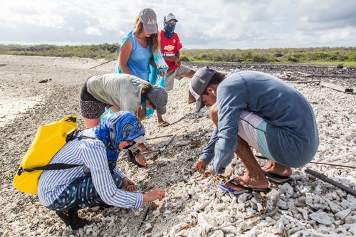 Recolección de muestras de plástico en una playa de Galápagos/Adam Porter