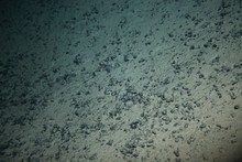 NÃ³dulos polimetÃ¡licos: imagen tomada desde el sumergible de investigaciÃ³n Shinkai 6500, de Jamstec (JapÃ³n), a 4.200 metros de profundidad, a lo largo de la costa sudeste-sur de Brasil.