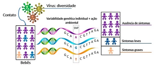 Ilustración explicativa del estudio sobre factores genéticos asociados a la gravedad de la bronquiolitis aguda viral/F. Marson