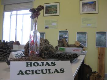 La muestra de 'Residuos forestales' comparte espacio con la exposición sobre desertificación.
