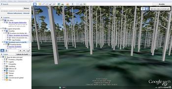 Simulador de bosques 3D 'Forest Up' (FOTO: Agresta).