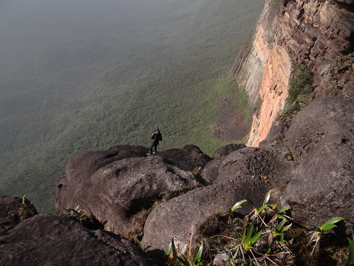 Límite de la cima del Roraima en su vertiente brasileña con los bosques húmedos de las tierras bajas al fondo. (Foto: Bruce Holst, 2012.)