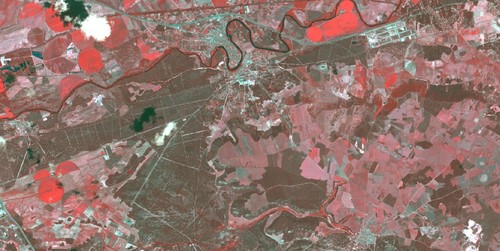 Imagen del satélite Pleiades en la que se observan masas de pino piñonero incluidas en el estudio al sur de Valladolid/Ángela Blázquez