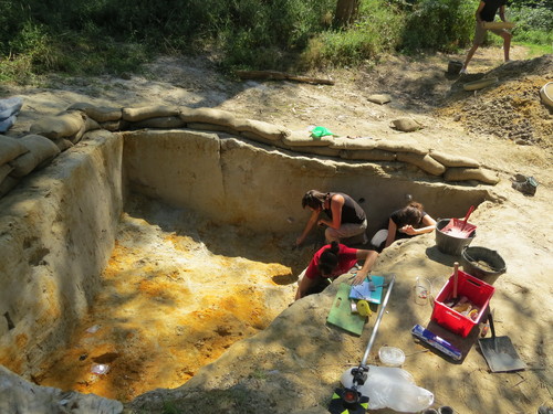 Proceso de excavación de la US4b (Chatelperroniense) en Aranbaltza II /Joseba Rios-Garaizar)