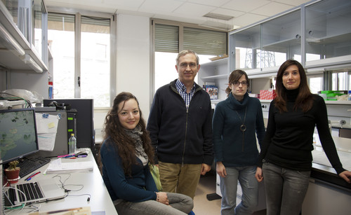 Javier de las Rivas e investigadores de su grupo. Foto: CIC.