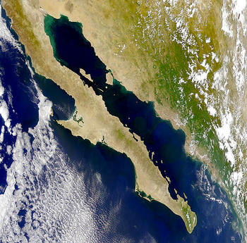 Imagen por satélite de Baja California. Foto: CICESE.