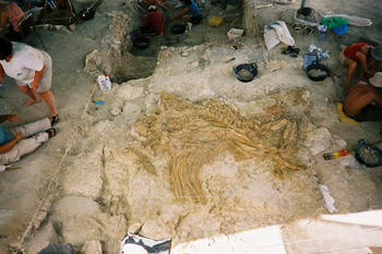 Fuente Nueva 3, imagen del mamut del nivel arqueologico superior (FOTO: Cenieh).