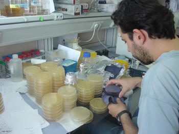 Un investigador manipula muestras en el laboratorio.