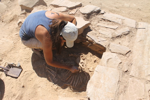 Excavación de los restos de un cordero en El Castillón. Foto: Zamora Protohistórica.