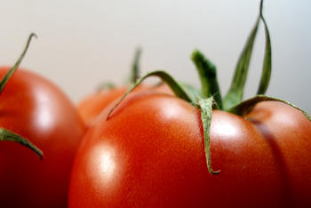Tomates (FOTO: Utalca).
