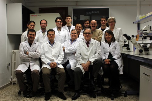 Grupo de Ingeniería Tisular del departamento de Histología de la Universidad de Granada. Foto: UGR.