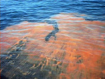 Imagen de una marea roja, provocada por microalgas.