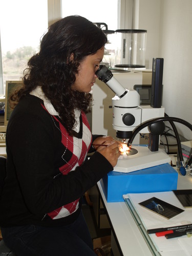 Diana Ochoa, al microscopio.