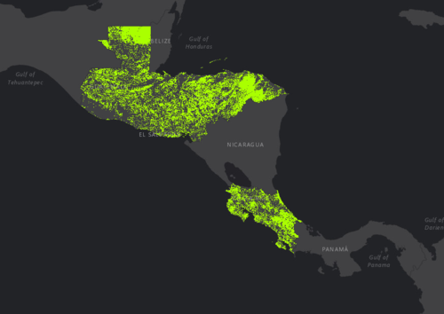 Proyecto Bosques Secundarios de Centroamérica.