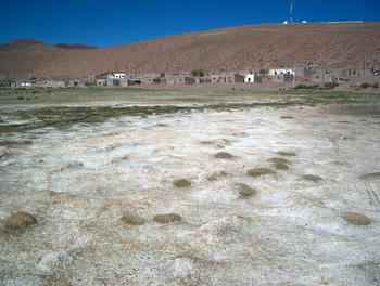 Imagen del terreno salino de San Antonio de los Cobres, pequeño municipio de la provincia argentina de Salta. (Foto: Karin Broberg/Universidad de Lund)