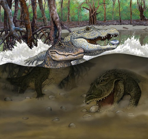 Reconstrucción de un pantano del Mioceno medio en lo que hoy es la Amazonia peruana con las tres nuevas especies de cocodrilos descubiertas.© Javier Herbozo