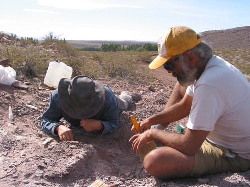 Campaña de investigación paleontológica en Neuquén.