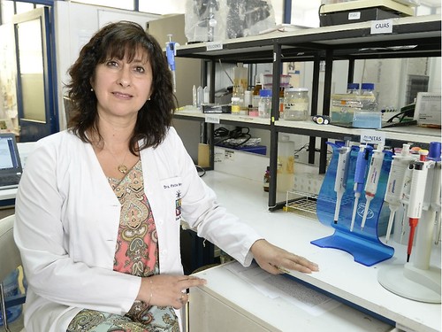 Paola Morales, académica del Instituto de Ciencias Biomédicas y del Departamento de Neurociencia de la Facultad de Medicina.