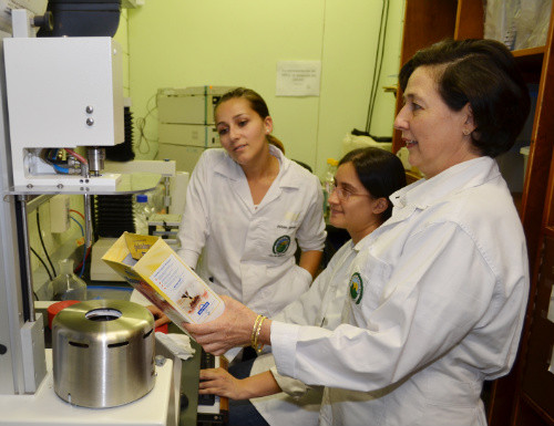 Jacqueline Aiello Ramírez (primer plano), investigadora del CITA, trabaja con estudiantes de la Escuela de Tecnología de Alimentos de la UCR. FOTO: UCR-