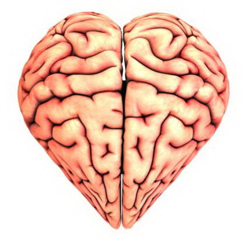 ¿Cerebro o corazón? El amor analizado por la ciencia. FOTO: UNL.