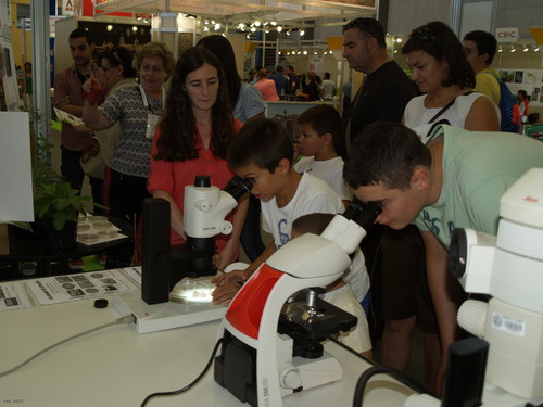 Varios jóvenes observan muestras en los microscopios en el espacio de investigación de la USAL en Salamaq.