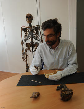 El paleobiólogo del CSIC Antonio Rosas, con un hueso de homínido.