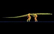 ReconstrucciÃ³n digital del movimiento del Argentinosaurus. Foto: Bill Sellers, The University of Manchester.