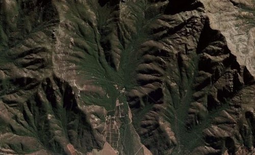 Imagen satelital de los bosques chilenos. / UCHILE.
