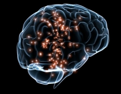 Cerebro humano. Massachusetts General Hospital y Draper Labs/ Wikimedia Commons