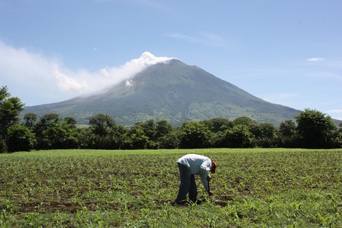 Labores agrícolas junto al volcán de San Miguel, en El Salvador.