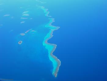 Arrecife de coral en Numea, en el territorio francés de ultramar de Nueva caledonia, una imagen actual de como podría ser un arrecife jurásico.