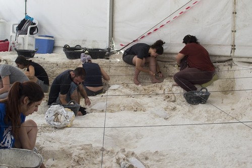 Excavación en Orce. Foto: Javier Luengo/IPHES.