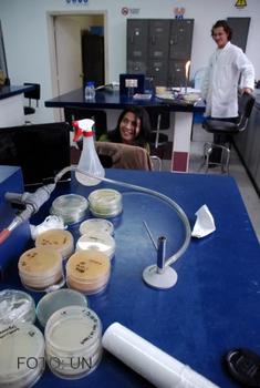 Laboratorio donde estudian la comunicación intercelular en bacterias marinas.