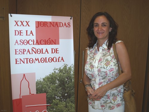 María Pilar de la Rúa Tarín, investigadora de la Universidad de Murcia experta en Apidología.