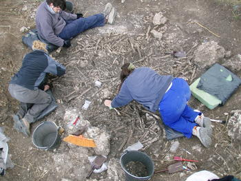 Imagen de los restos óseos hallados en la tumba colectiva de Fresno de Rodilla.