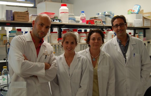 A la derecha, el profesor Soria, junto a miembros de su equipo de investigación en la Universidad CEU Cardenal Herrera de Valencia. Foto: CEU-UCH.