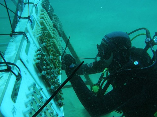 Un buzo toma muestras en un trabajo de arqueología subacuática. Foto: F. Descubre.